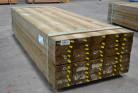 Treated Pine Sleepers - 200x50x2700